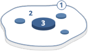 target antigen localized in the cell