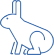 Production of antibody in rabbit