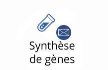 Synthèse de gènes