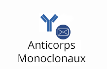 Anticorps monoclonaux