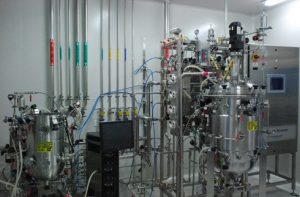 Process development in bioreactors
