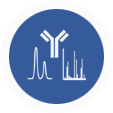 Bioanalytics - Antibody drug development process