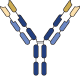 DVD-Ig antibody format