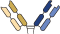 F(ab’)2 antibody format