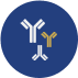Bispecific antibody format definition