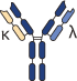Κλ-body bispecific antibody format