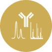 Humanized monoclonal antibody characterization