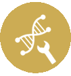 Antigen design for hybridoma generation