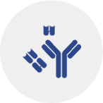 Custom polyclonal antibody formats