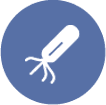 E. coli protein expression