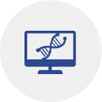 gene for insect cell expression