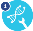 optimized gene synthesis for insect cell expression