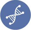 gene synthesis