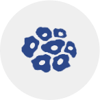 protein expression systems