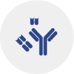 small molecule antibodies formats