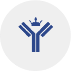 small molecule antibodies production methods