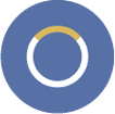 vector for protein expression optimization