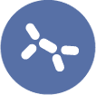 yeast protein expression