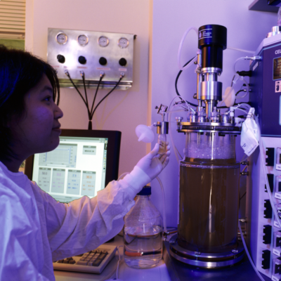 bioreactor bioreactor