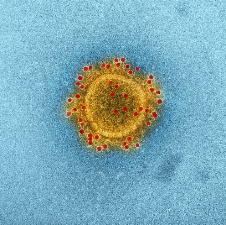 MERS-CoV