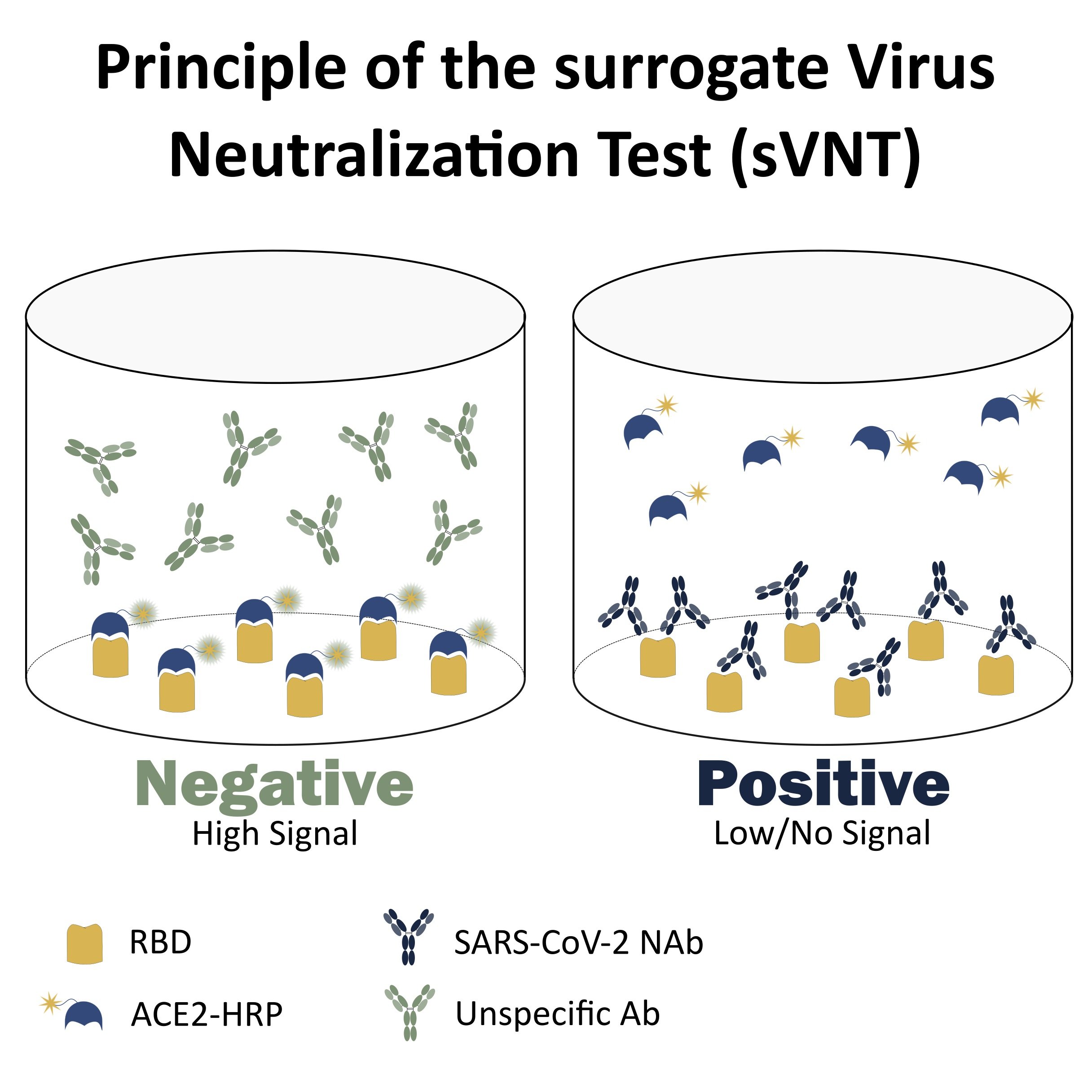 image2_sVNT_test_principle3