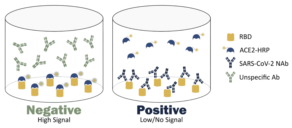 Types of antibody neutralization tests used in vaccine&drug development?