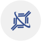 Application guaranteed antibody