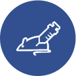 Immunization for hybridoma generation in diagnostics