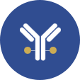 Antibody conjugation for diagnostic applications
