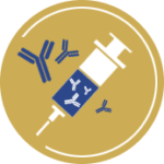 Hybridoma production for therapeutic applications