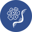 antibody-repertoire-harvesting-library-generation Antibody repertoire harvesting for library generation