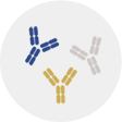 Boost the development of oligoclonal therapies