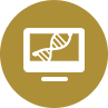 Antibody engineering for enhanced developability