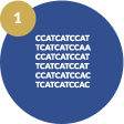 Monoclonal antibody sequencing