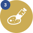 Host transfection and selection of positive stable pools