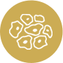 Hybridoma sequencing