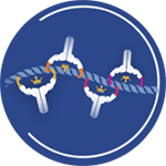 Polyclonal antibody production services