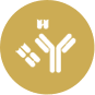 Antibody engineering experts