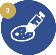 Transfection for recombinant antibody production