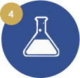 Transient expression of recombinant antibodies