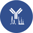 ADC bioanalysis