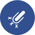 Canine antibody affinity maturation