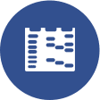 Canine antibody bioanalysis