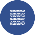 Canine antibody sequencing