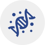 peptides-drug-gene-delivery Peptides for drug and gene delivery