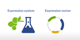 recombinant-peptide-synthesis Recombinant peptide synthesis