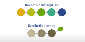 Semisynthetic peptides