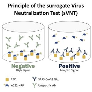 SARS-CoV-2 Surrogate Virus Neutralization Test (sVNT) Kit