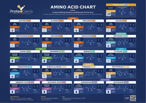 Free Poster - Amino Acids - for 2000 points