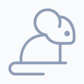 mouse